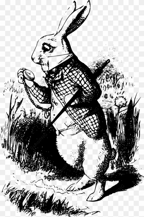 Download Png - White Rabbit Alice In Wonderland transparent png image