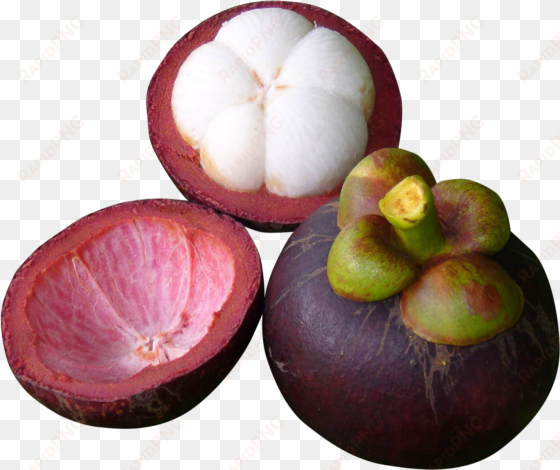 download purple mangosteen png image - purple mangosteen png