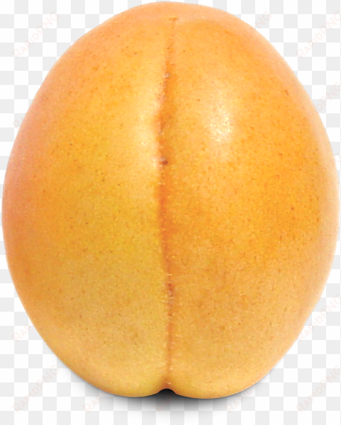download ripe apricot fruit png image - nectarine