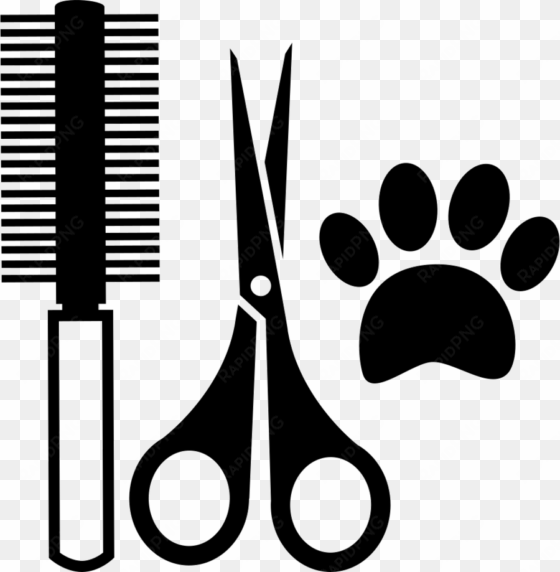 download salon tools clipart comb hairdresser beauty - herramientas de un veterinario para colorear