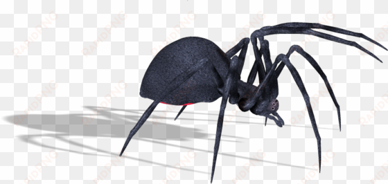 download - spider