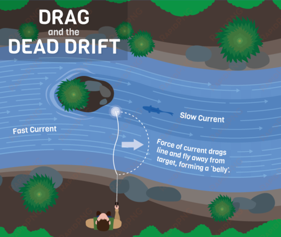 drag and dead drift - dead drift a fly