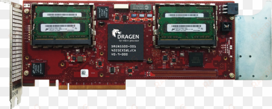 dragen board with chip and memory - photograph