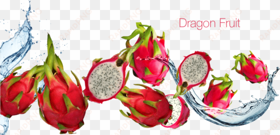 dragon fruit - red dragon fruit png