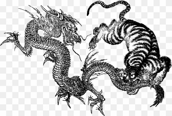 dragon & tiger in the martial arts - tiger dragon