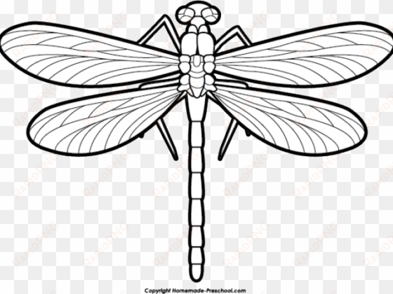 dragonfly - clip art black and white dragonfly