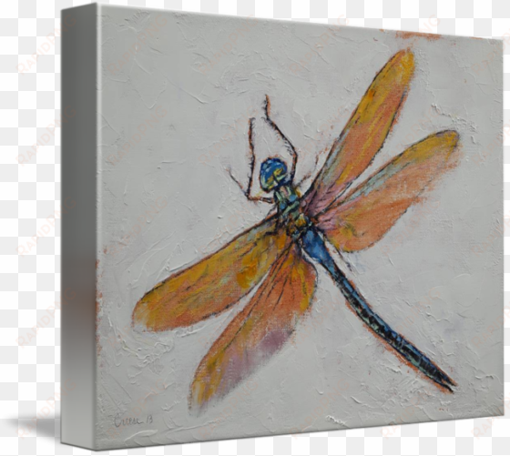 dragonfly transparent painted clip art royalty free - canvas print