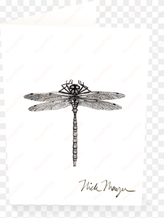 dragonfly v=1524851225 - dragonfly
