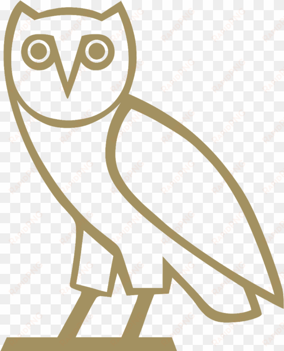 drake owl png - ovo owl png