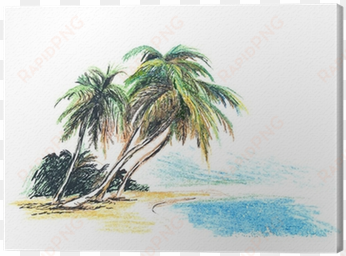 drawing beach with palm trees - dessin de palmier sur la plage