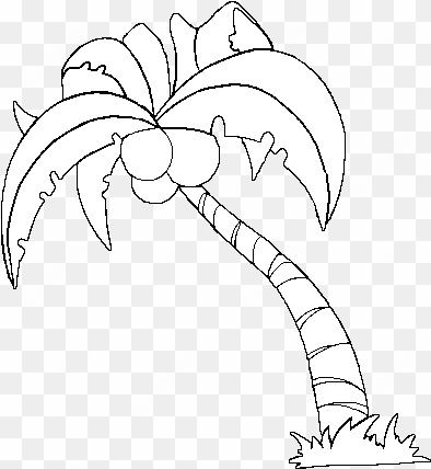 drawing coconut tree 3 - coconut tree white png