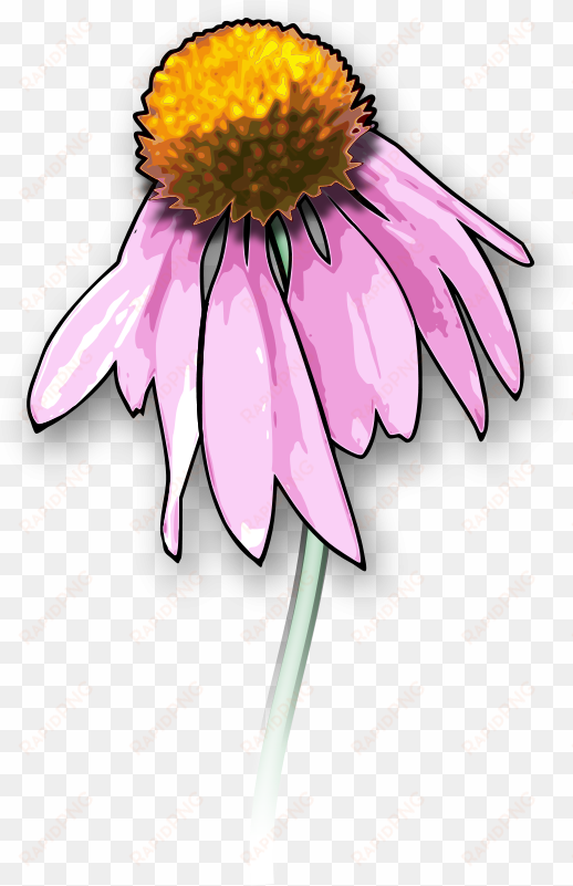 Drawing Death Download Dead Flowers Art Free Commercial - Dead Flower Clipart transparent png image