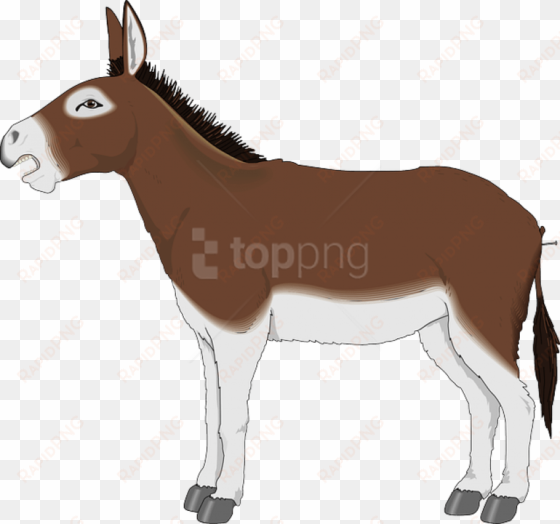 Drawing Donkey Mule Picture Royalty Free - Donkey Clipart transparent png image