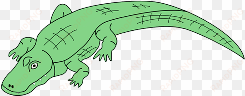 drawing footprints alligator - transparent background alligator clip art