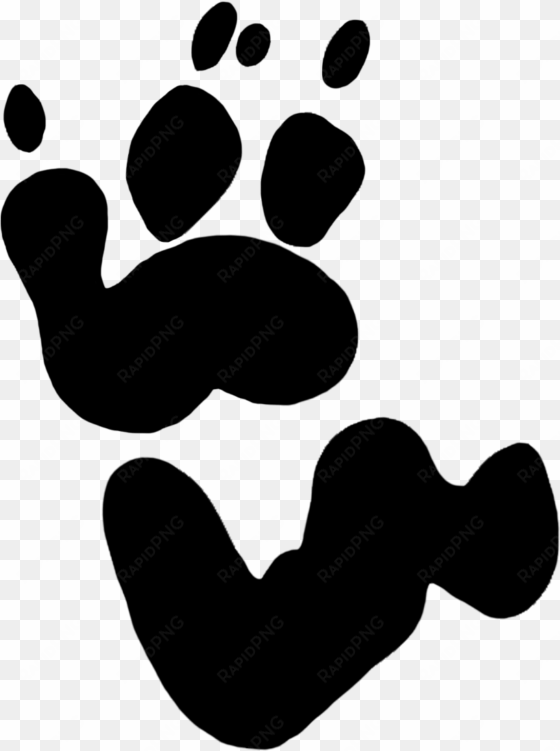 drawing footprints realistic - koala bear koala footprint