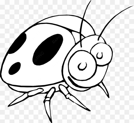 drawing ladybug png royalty free stock - lady bird insect black and white