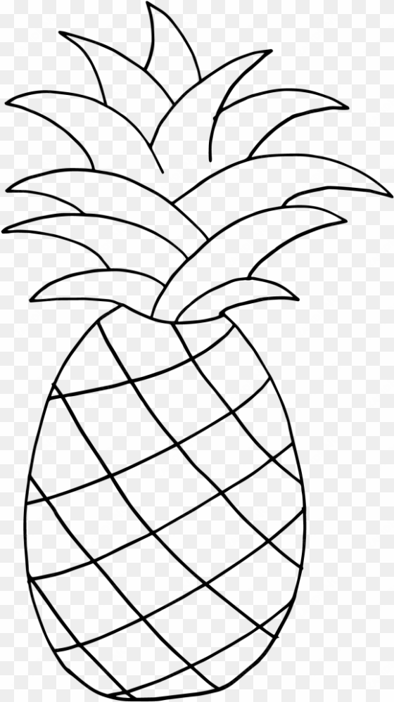 drawing pineapple black and white - una piña para dibujar