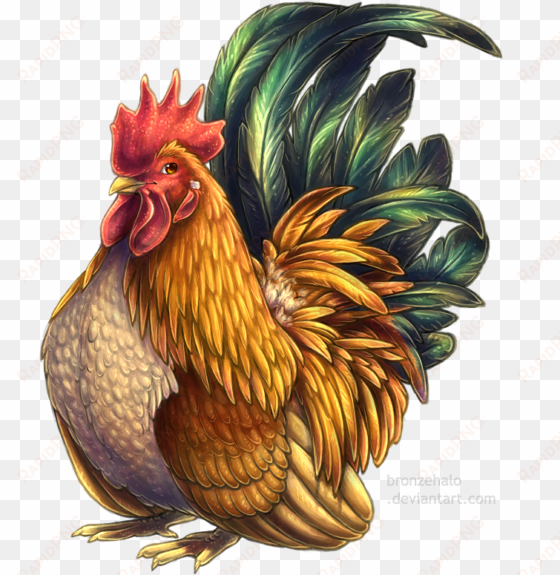 drawing roosters fowl - bantam chicken png