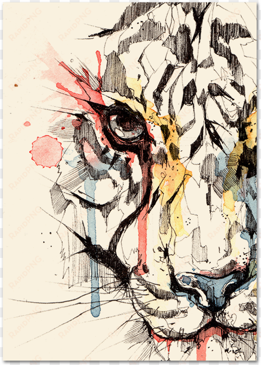 Drawing Tigers Watercolor Png Free - Colorful Watercolor Tiger Painting transparent png image