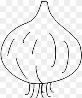 drawing vegetable onion svg transparent library - line art