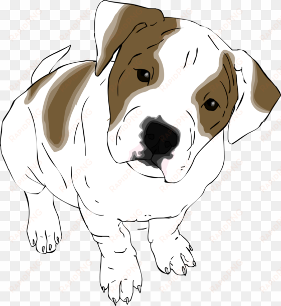 drawn bulldog american bulldog - draw a american bulldog puppy