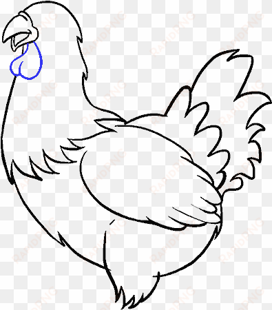 drawn chicken chicken feather - drawing
