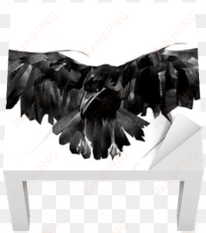 drawn flying crow on white background front lack table - vrána kresba