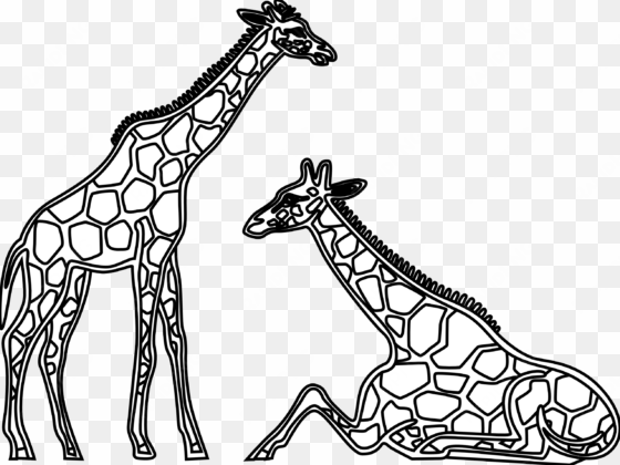 drawn giraffe clip art black and white - line drawings of giraffes