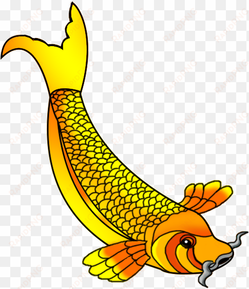 drawn gold fish koi fish - koi