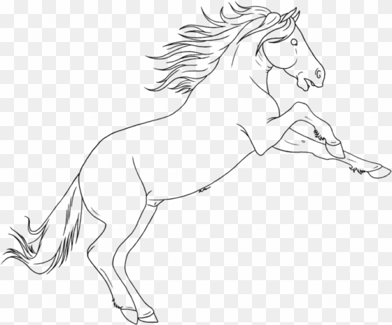 drawn horse mustang horse - cara menggambar ekor kuda