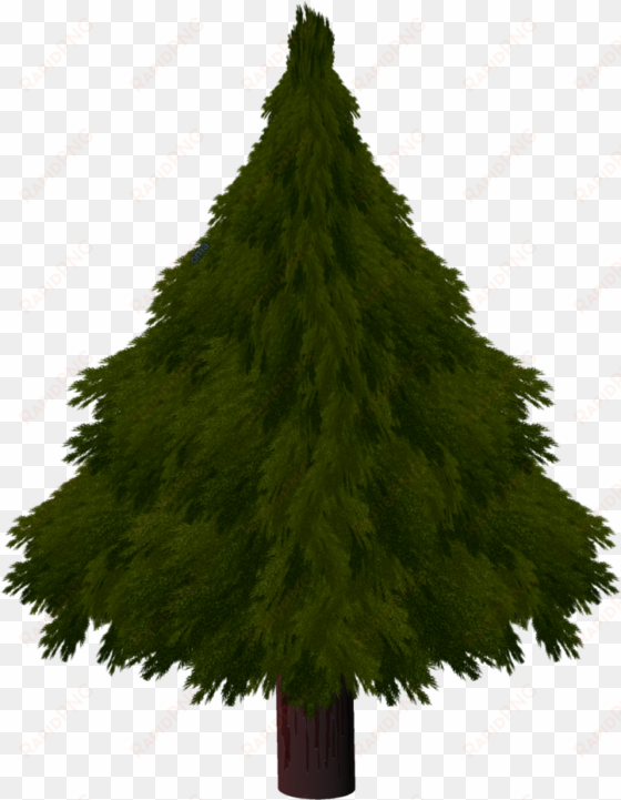 drawn pine tree xmas tree - christmas tree