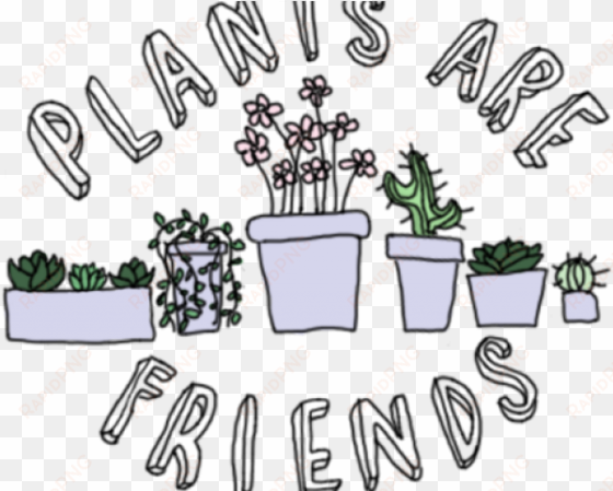 drawn plant cactus succulent - plants are friends