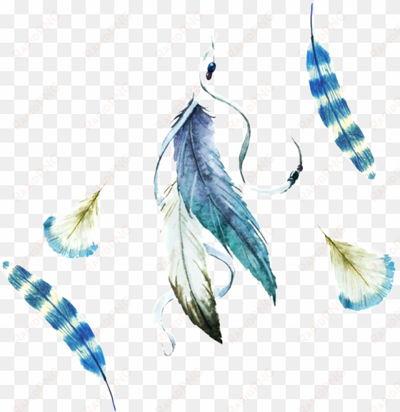 dreamcatcher feathers shower curtain