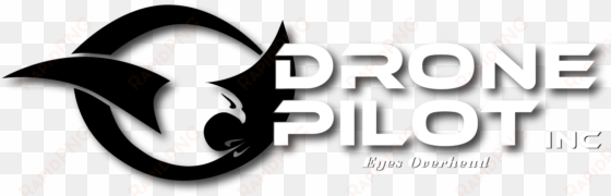 drone pilot, inc - drone pilot logo