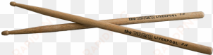 drumsticks logo - wood