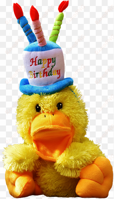 duck, birthday, happy birthday, soft toy - vanessa alles gute zum geburtstag