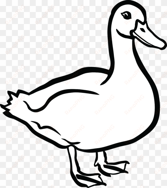 duck clipart black and white - clip art of duck
