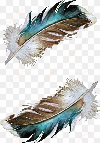 duck feathers by jody edwards - mallard duck feather tattoo