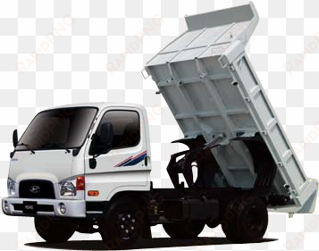 dump body - hyundai mini dump truck