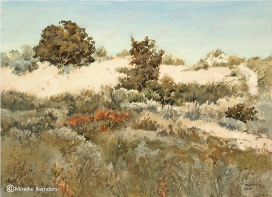 dune landscape, ameland - watercolor painting