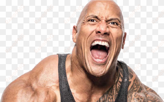 dwayne the rock johnson net worth - dwayne johnson