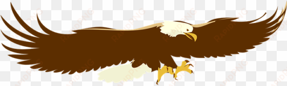 eagle bald landing bird raptor wildlife pr - bald eagle clipart png