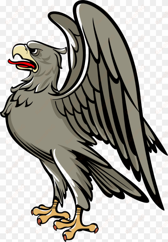 eagle - bird heraldry