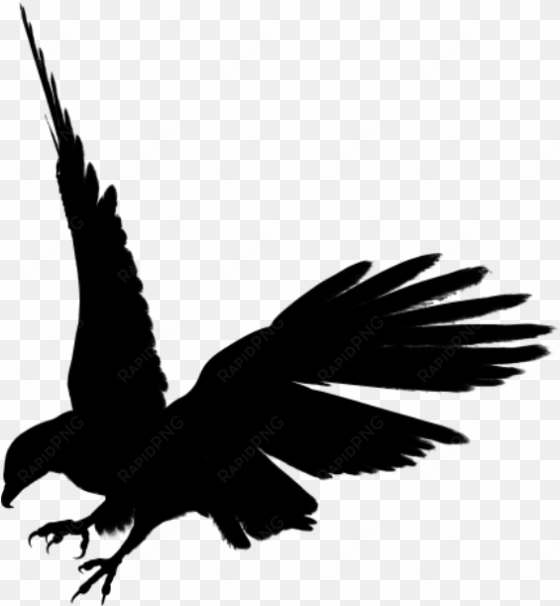 eagle - black eagle png