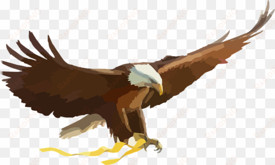 eagle flying clipart - eagle clipart png