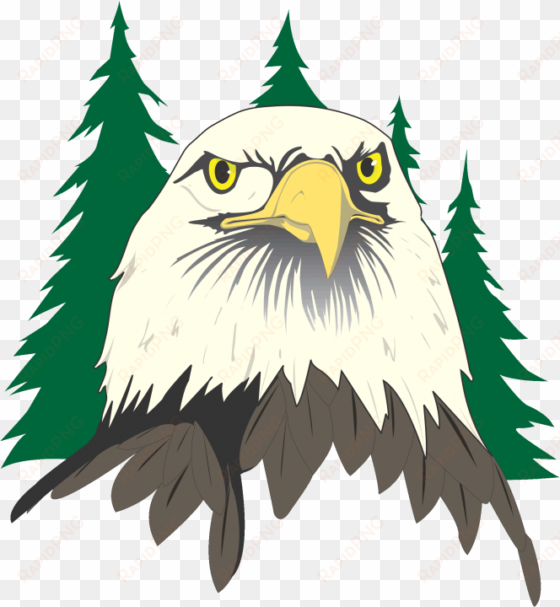 eagle - trump for america banner