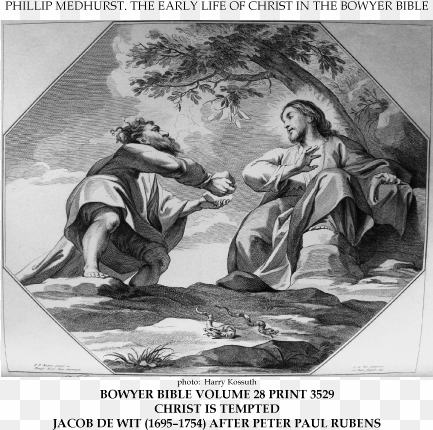 early life of christ in the bowyer bible print 16 of - jesus and satan bible