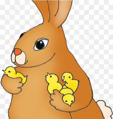 easter bunny clipart chicken - easter