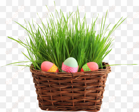 easter egg basket png transparent image - happy belated birthday kay