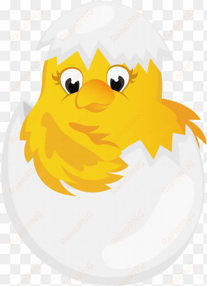 easter png - chick in egg clipart